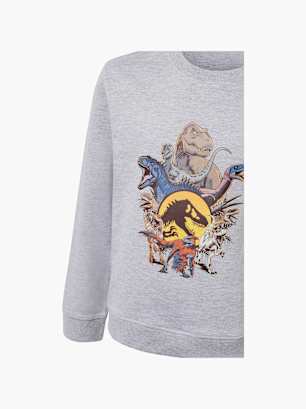 Jurassic World Longsleeve Grau