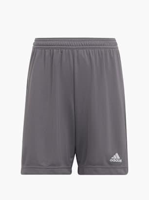 adidas Shorts Grau