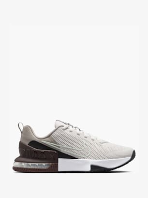 Nike Tréninková obuv Šedá