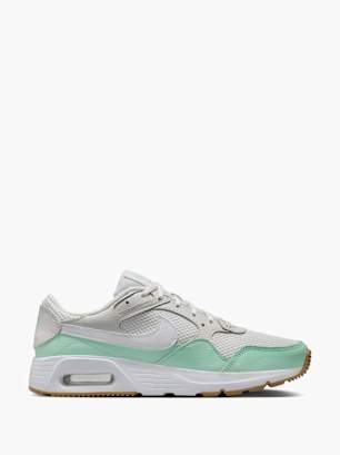 Nike Sneaker Gris claro