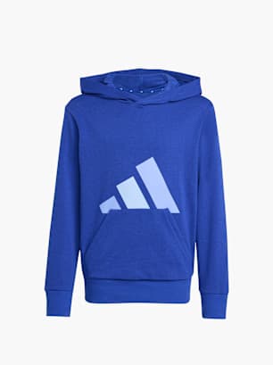 adidas Hoodie Blau