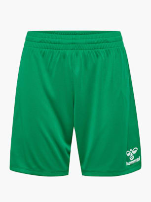 hummel Shorts Grün