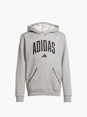 adidas Hoodie Grau