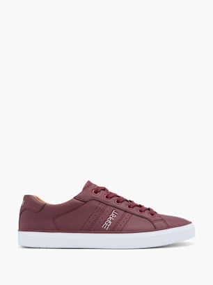 ESPRIT Baskets Bordeaux