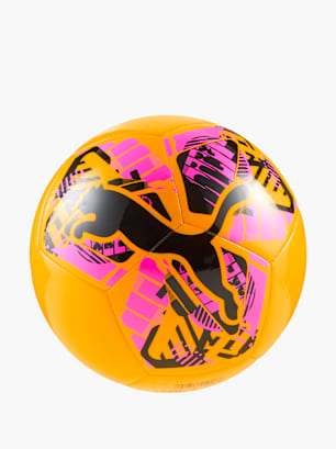 PUMA Ball Orange