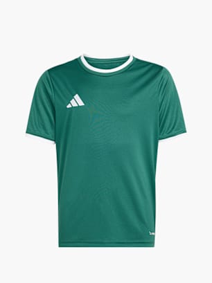 adidas T-Shirt Dunkelgrün