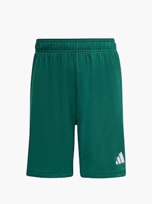 adidas Shorts Dunkelgrün