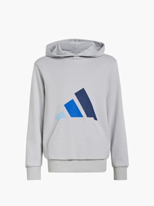 adidas Hoodie Grau