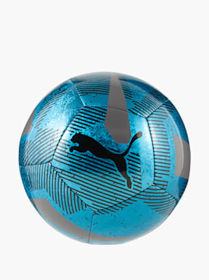 PUMA Ball Silber