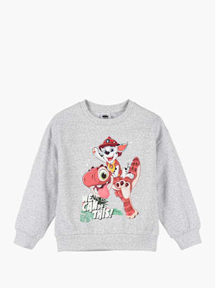 PAW Patrol Sweatshirt Grau