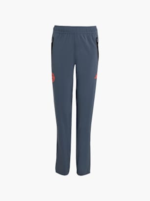 adidas FC Bayern München Tiro 25 Competition Vis Tech Travel Hose Kids Grau