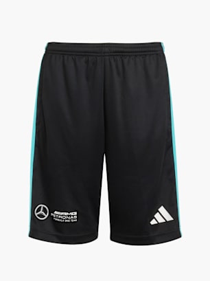 adidas MERCEDES - AMG PETRONAS FORMULA ONE TEAM DNA SHORTS Schwarz