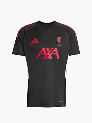 adidas FC Liverpool Tiro 25 Competition Trainingstrikot Schwarz
