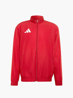 adidas Entrada26 Präsentationsjacke Rot