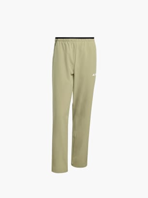 adidas Terrex Multi Liteflex Hose Grün