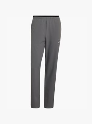 adidas Terrex Multi Liteflex Hose Grau