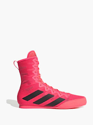 adidas Box Hog 4 Boxschuh Pink