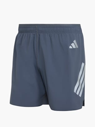 adidas adi365 FORMOTION Shorts Grau