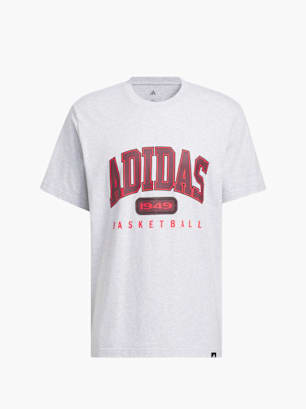 adidas Collegiate Grafik T-Shirt Grau