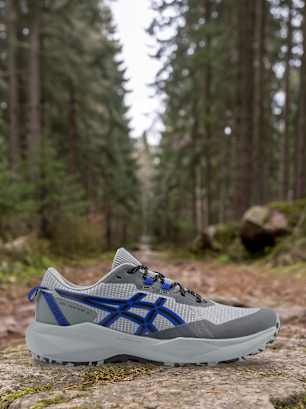 ASICS Laufschuh Grau