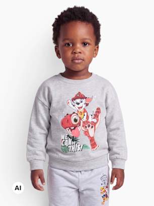 PAW Patrol Sweatshirt Grau