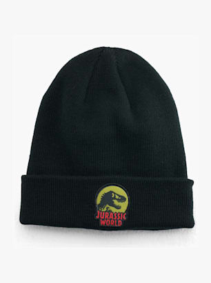 Jurassic World Strickmütze Schwarz