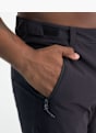 ICEPEAK Pantalon de randonnée Gris 86923 8