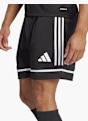 adidas Shorts Schwarz 85338 5