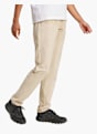 adidas Outdoor-Hose Beige 83343 3