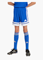 adidas Shorts Blau 82712 1