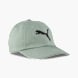 PUMA Baseball sapka zöld 54446 1