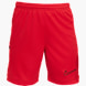Nike Shorts Rot 63303 1