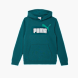 PUMA Sweat à capuche Vert 121539 1