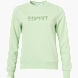 ESPRIT Sweatshirt Grün 124046 1