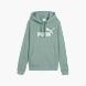 PUMA Hoodie Mint 57174 1