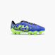 Bleu 79217 1