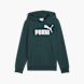 PUMA Hoodie Dunkelgrün 79821 1