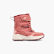 Rose 90702 1