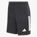 adidas Shorts Schwarz 121497 1