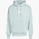 adidas Sweat à capuche Gris 121557 1
