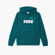 PUMA Hoodie Dunkelgrün 121539 1