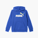 PUMA Hoodie Blau 121541 1
