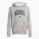adidas Hoodie Grau 125099 1