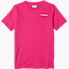 Fuchsia 138412 1