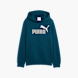 PUMA Hoodie Blau 149055 1