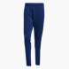 adidas Squadra 25 Trainingshose Blau 142822 1