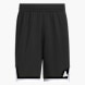 adidas 3G Speed Reversible Basketball AEROREADY Shorts Schwarz 141432 1