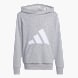 adidas Essentials Kids Hoodie Grau 142531 1
