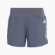 adidas adi365 FORMOTION Short Grau 168702 1