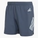 adidas adi365 FORMOTION Shorts Grau 168798 1